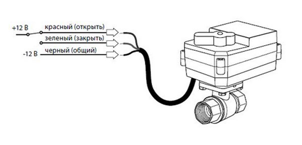 shemaNeptunBugattiPro12V.jpg
