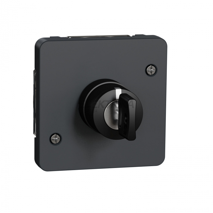 Перемикач із ключем Schneider Electric MUREVA S, IP55 MUR35061
