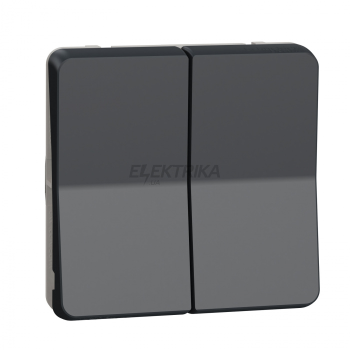 Кнопковий вимикач Schneider Electric Mureva Styl - double push-button flush & surface mounting - grey MUR35326