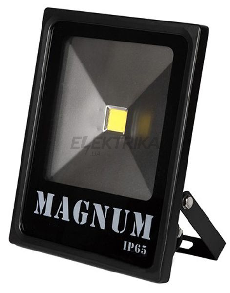 Прожектор світлодіодний MAGNUM FL 10 LED 10 Вт 220В 6500К IP65