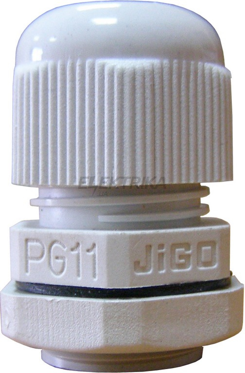 Сальник PG11