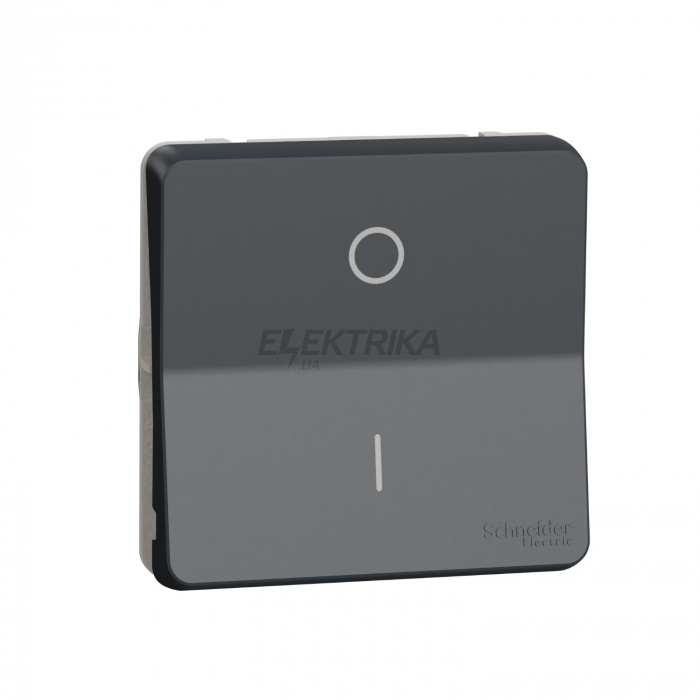 Клавішний вимикач Schneider Electric Mureva Styl - 2-pole switch - flush & surface mounting - grey MUR35034