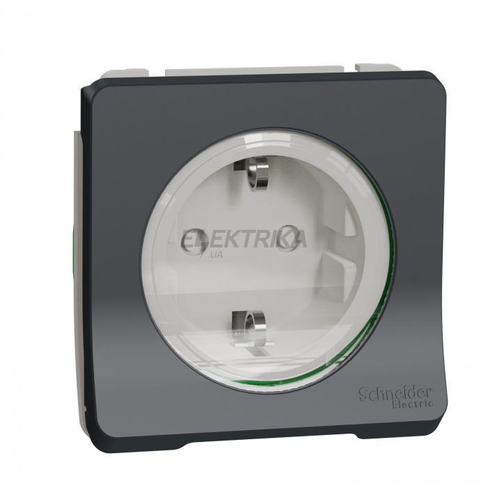 Розетка Schneider Electric Mureva Styl - socket-outlet - 16A - 2P + E - shutters - grey MUR36134