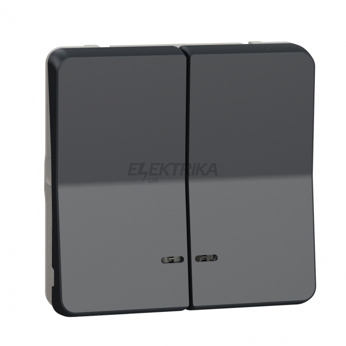 Кнопковий вимикач Schneider Electric Mureva Styl - double push-button locat LED flush & surface mounting - grey MUR35228