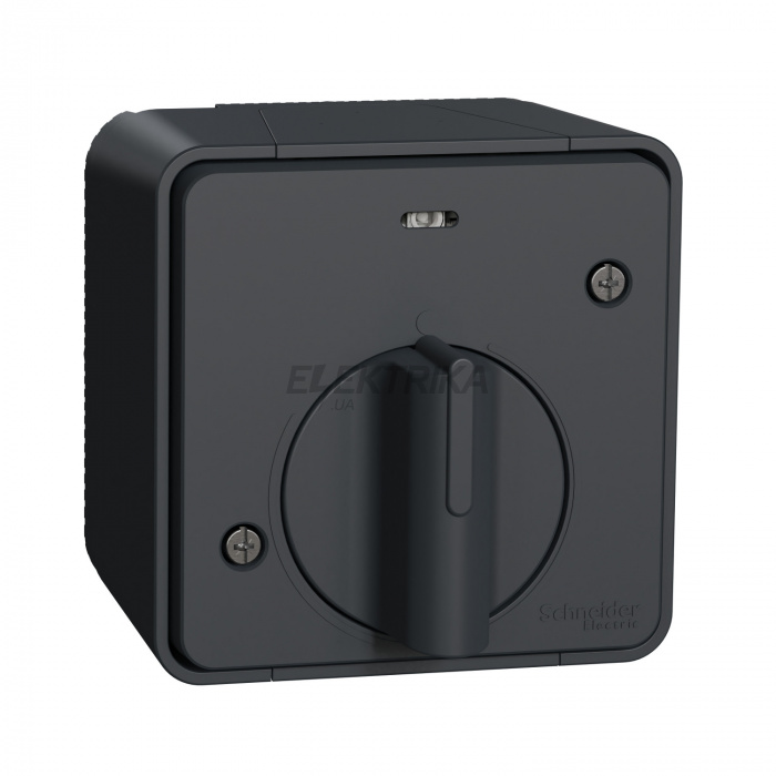 Механічне реле часу Schneider Electric Mureva Styl - механічний час delay switch - surface mounting - grey MUR35067