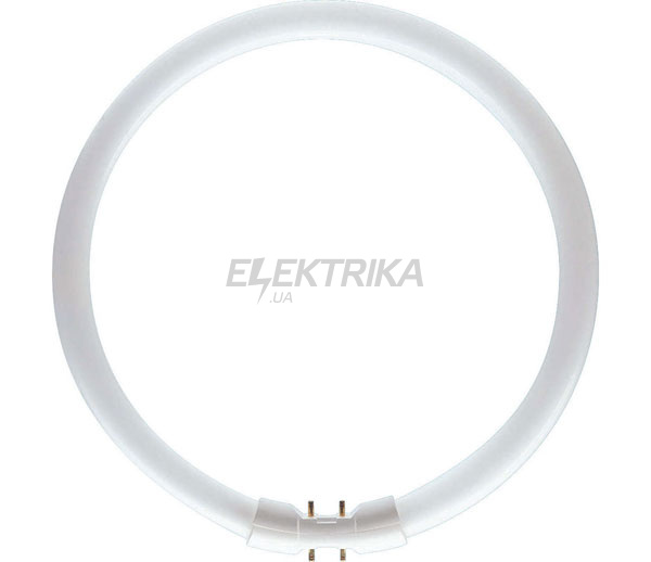 Лампа люмінесцентна MASTER TL5 Circular 40W/840 1CT/10