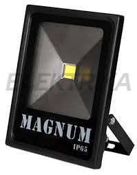 Прожектор світлодіодний MAGNUM FL 10 LED 20 Вт 220В 6500К IP65